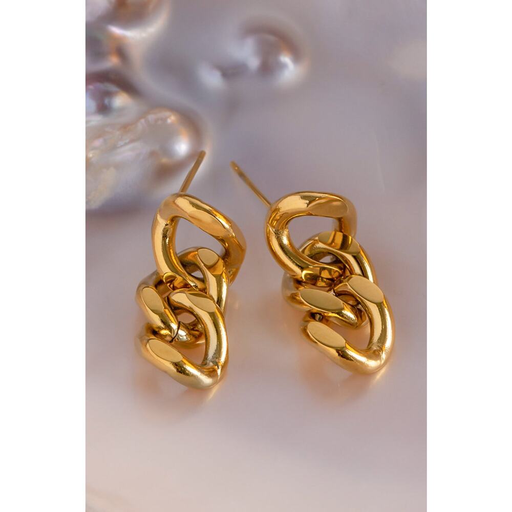 Stainless Steel Chain Earrings - Picture 3 of 5